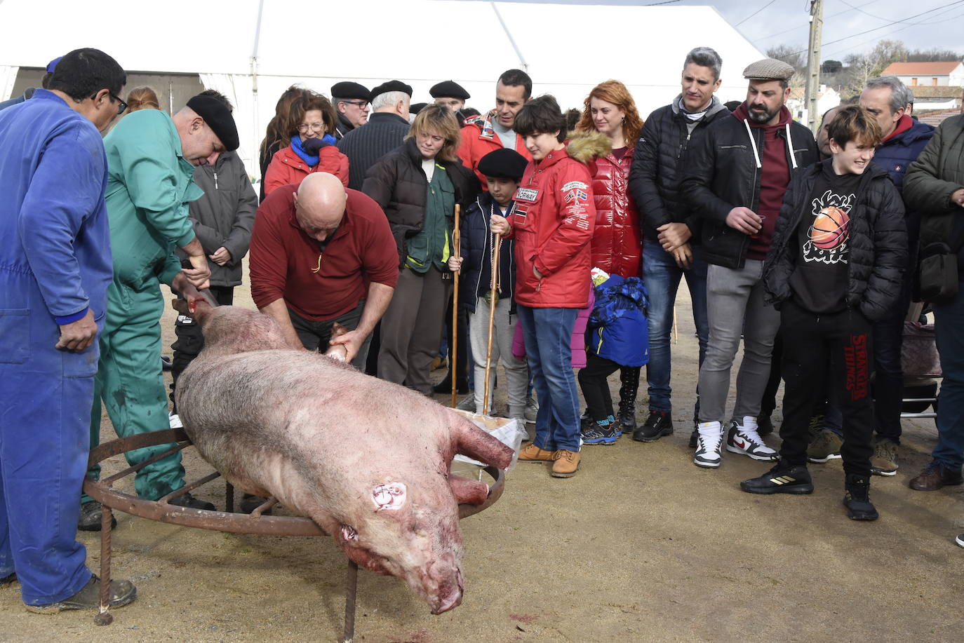 La matanza más institucional en Barruecopardo