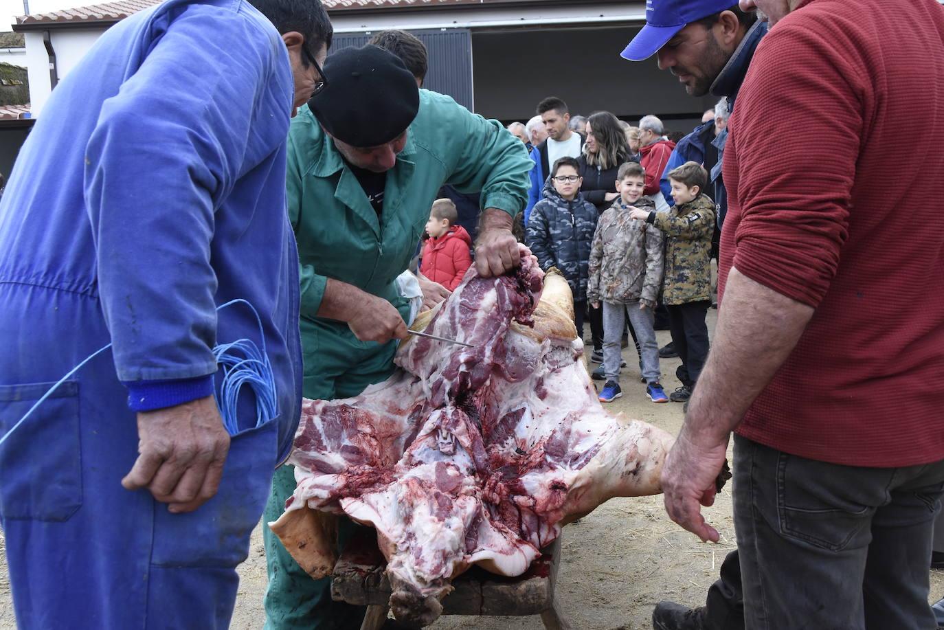 La matanza más institucional en Barruecopardo