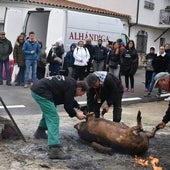 Chamuscado del marrano en la matanza de Fresno Alhándiga