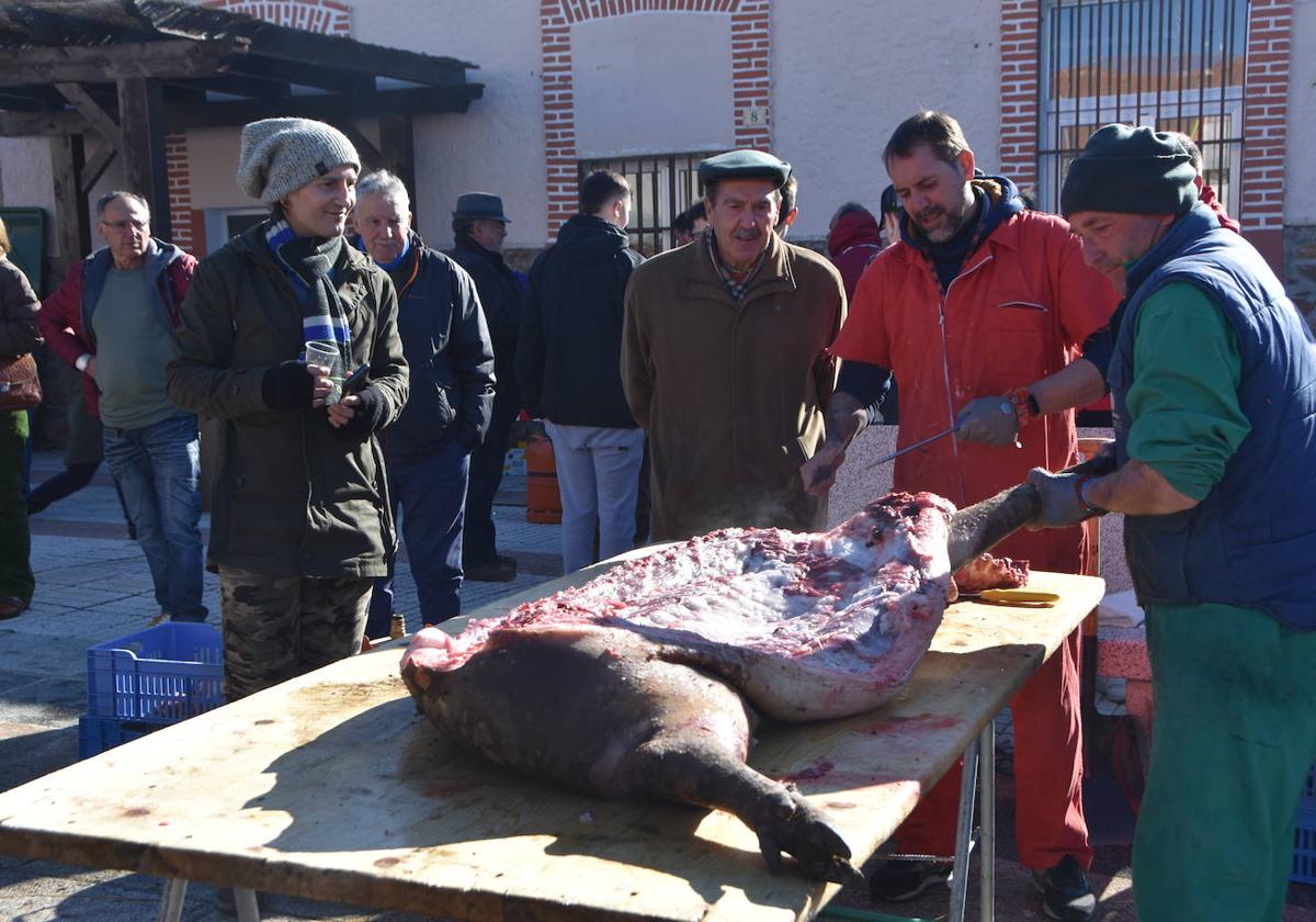 Matanza de Galinduste el año pasado.