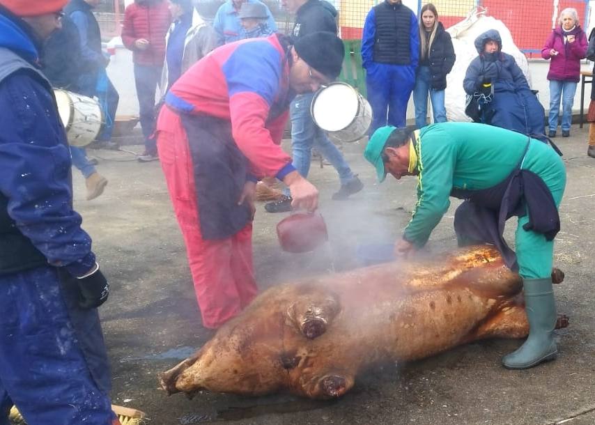 Las fotos de la matanza tradicional de Coca de Alba