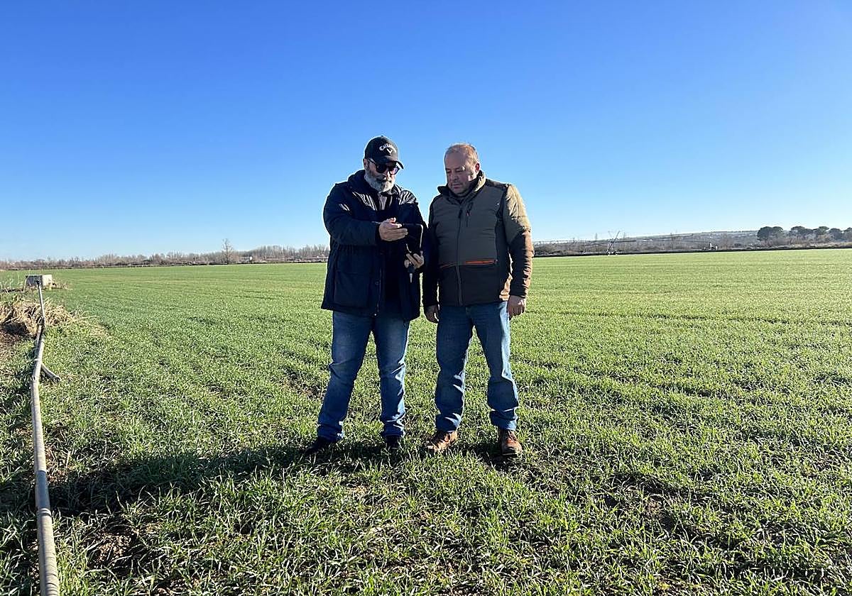 Ignacio le muestra a Javier las imágenes tomadas con el dron.