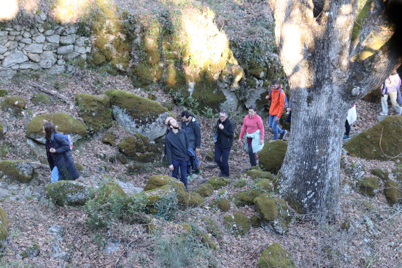 Montemayor del Río no falta a su tradición con los campanillos en la tarde de Nochebuena