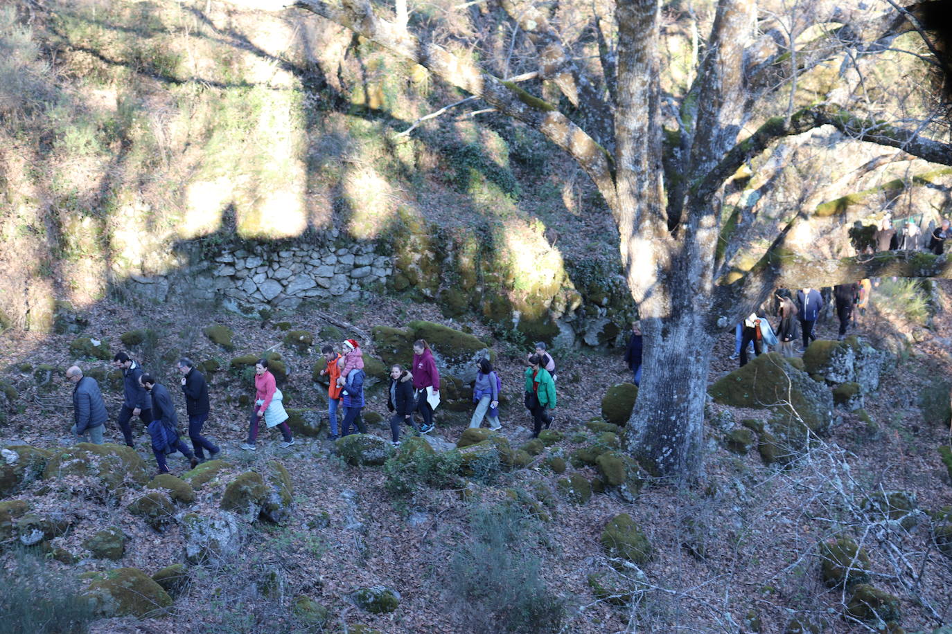 Montemayor del Río no falta a su tradición con los campanillos en la tarde de Nochebuena