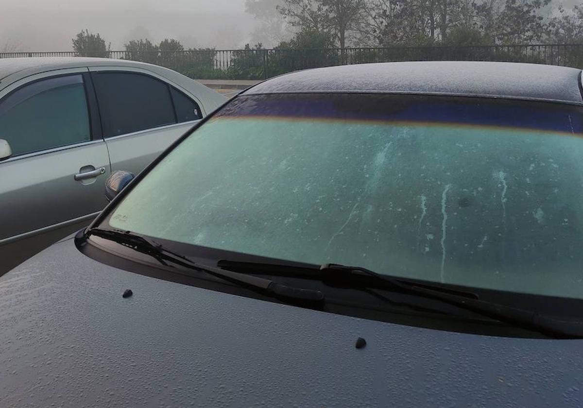 Quitar hielo del coche: El truco de la Guardia Civil para quitar el hielo  de los cristales del coche