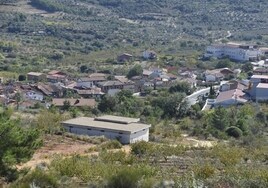 Vista general de la localidad de Sotoserrano, nuevamente afectada por un positivo de nematodo del pino.