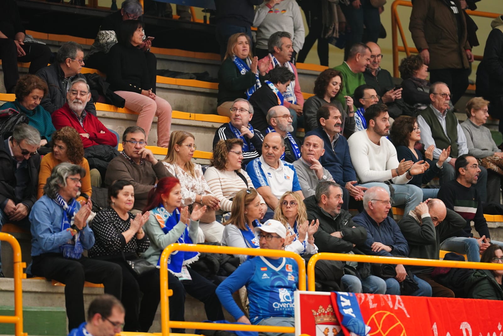 Búscate en la grada de Würzburg en el partido del Avenida contra el IDK