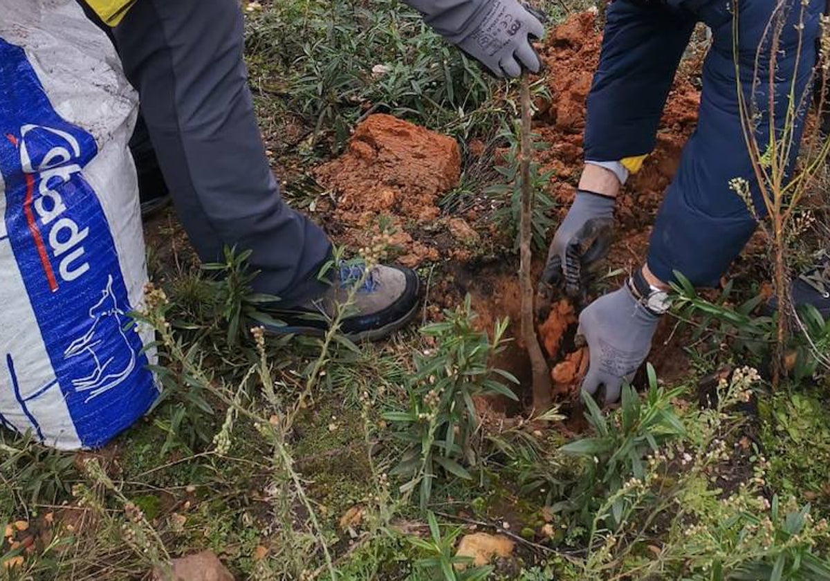 María Sol, Russell, Jennifer y otro interno participaron en la reforestación de árboles en la Sierra de la Culebra, arrasada por los incendios de 2022.