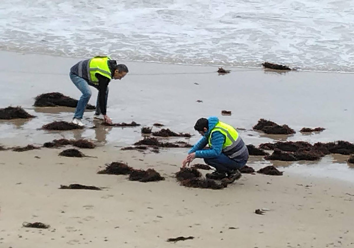Dos agentes del Servicio de Vigilancia Ambiental de la Consejería de Medio Ambiente buscan pellets.