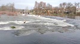 Así luce el río Tormes tras la crecida generada por las lluvias