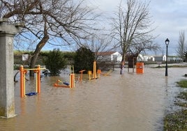 El arroyo de la Vega, desbordado a su paso por Calzada de Valdunciel, e inundando el parque