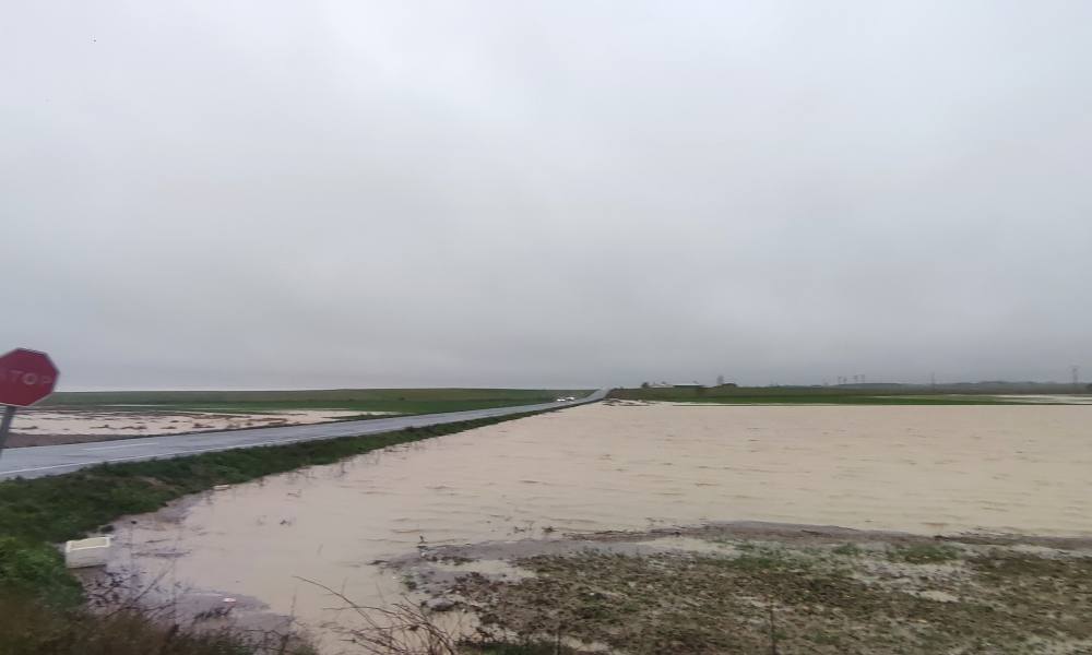 Abundante agua y nieve en Peñaranda y comarca