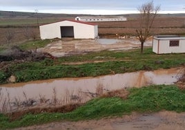 Quejas vecinales por la falta de limpieza del caño de Babilafuente