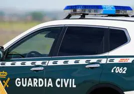 La Guardia Civil caza a un camionero borracho y drogado en Pedrosillo el Ralo