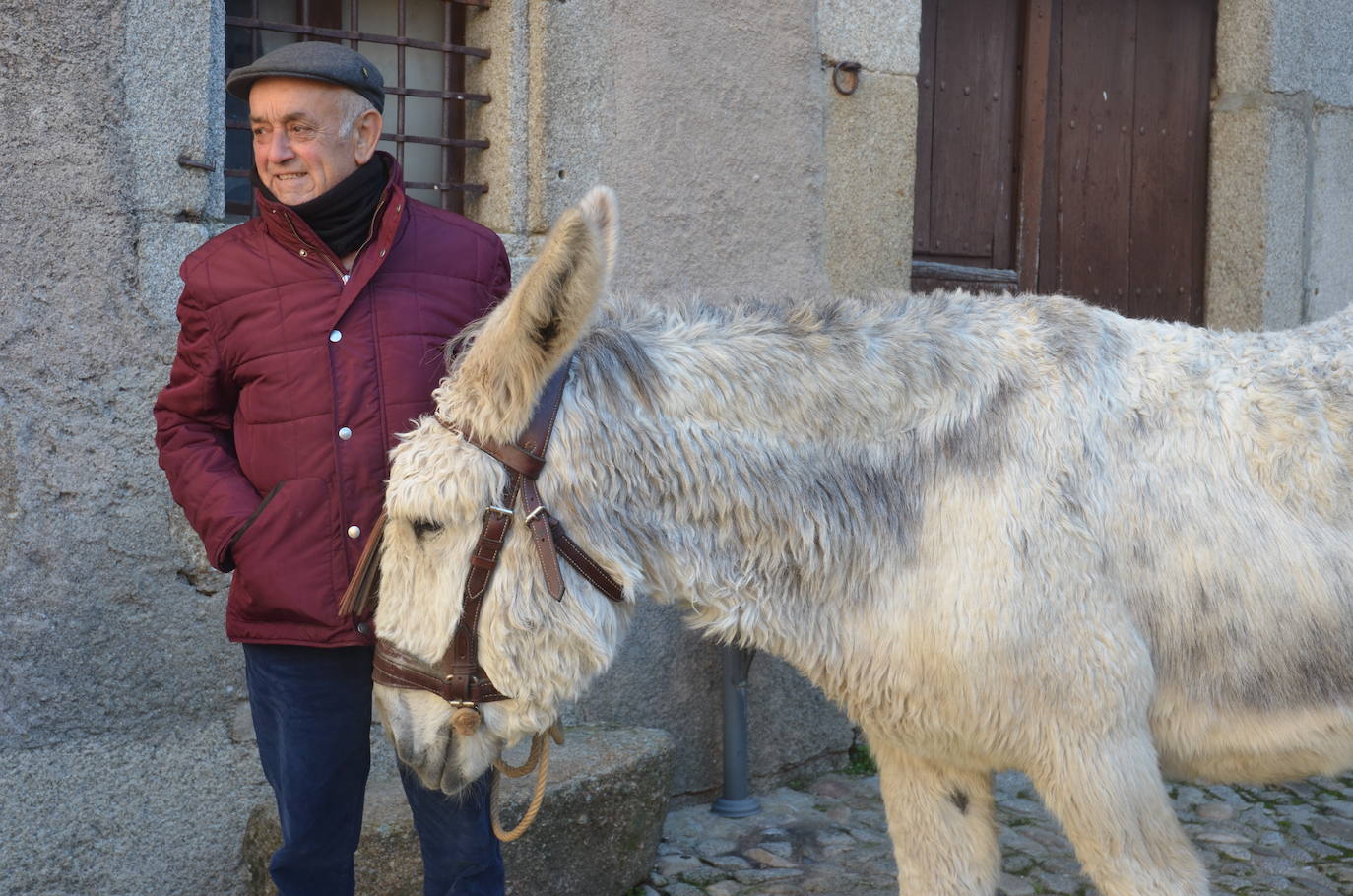 El marrano de San Antón se despide en La Alberca