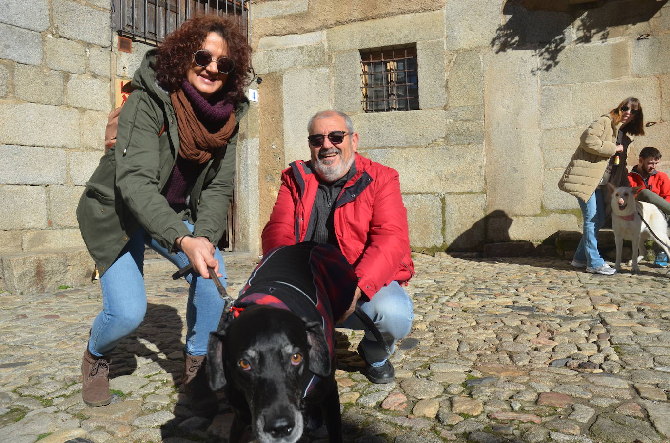 El marrano de San Antón se despide en La Alberca