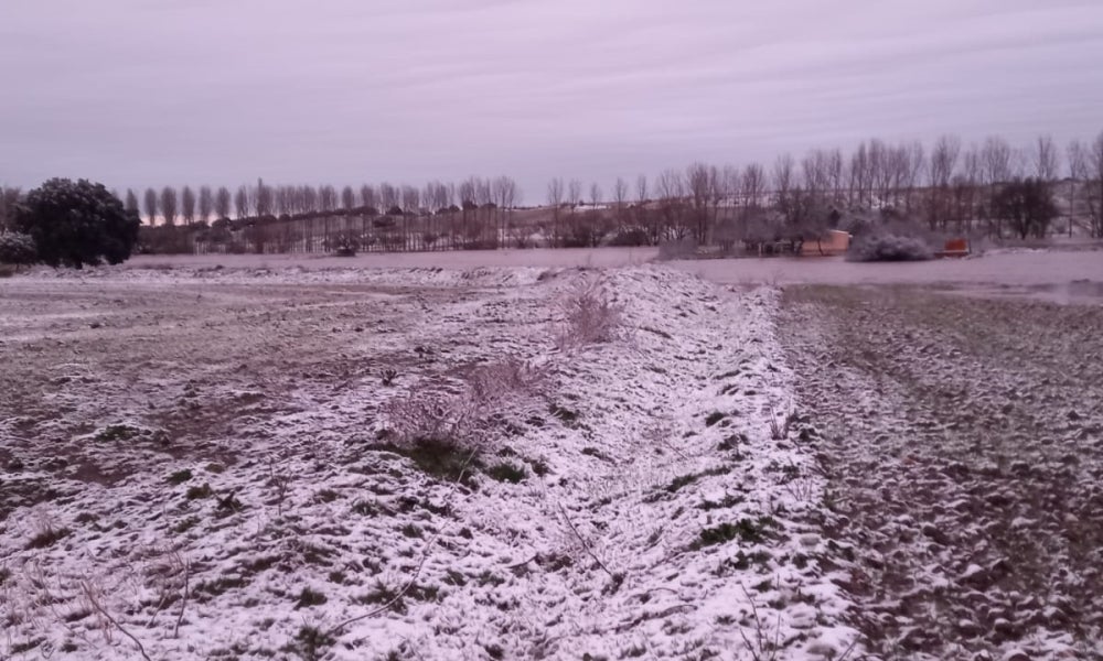 Impresionantes imágenes del desbordamiento del río Almar a su paso por Nava de Sotrobal