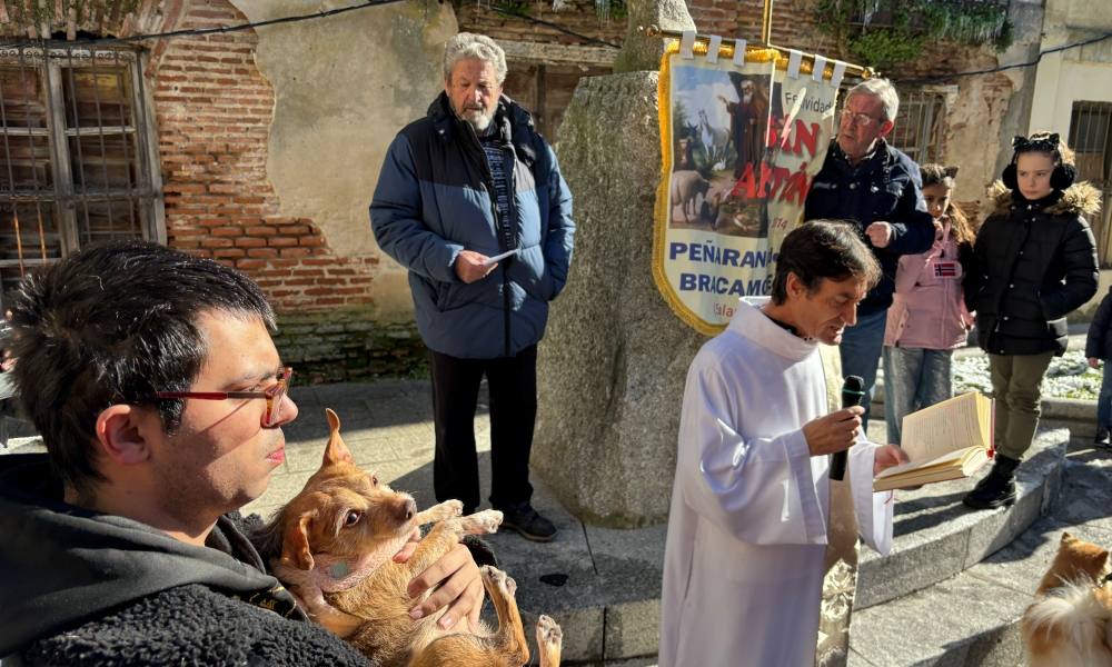 Bendición canina por San Antón en Peñaranda