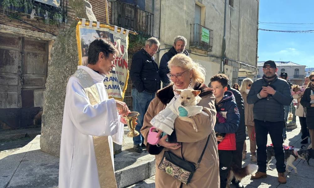 Bendición canina por San Antón en Peñaranda