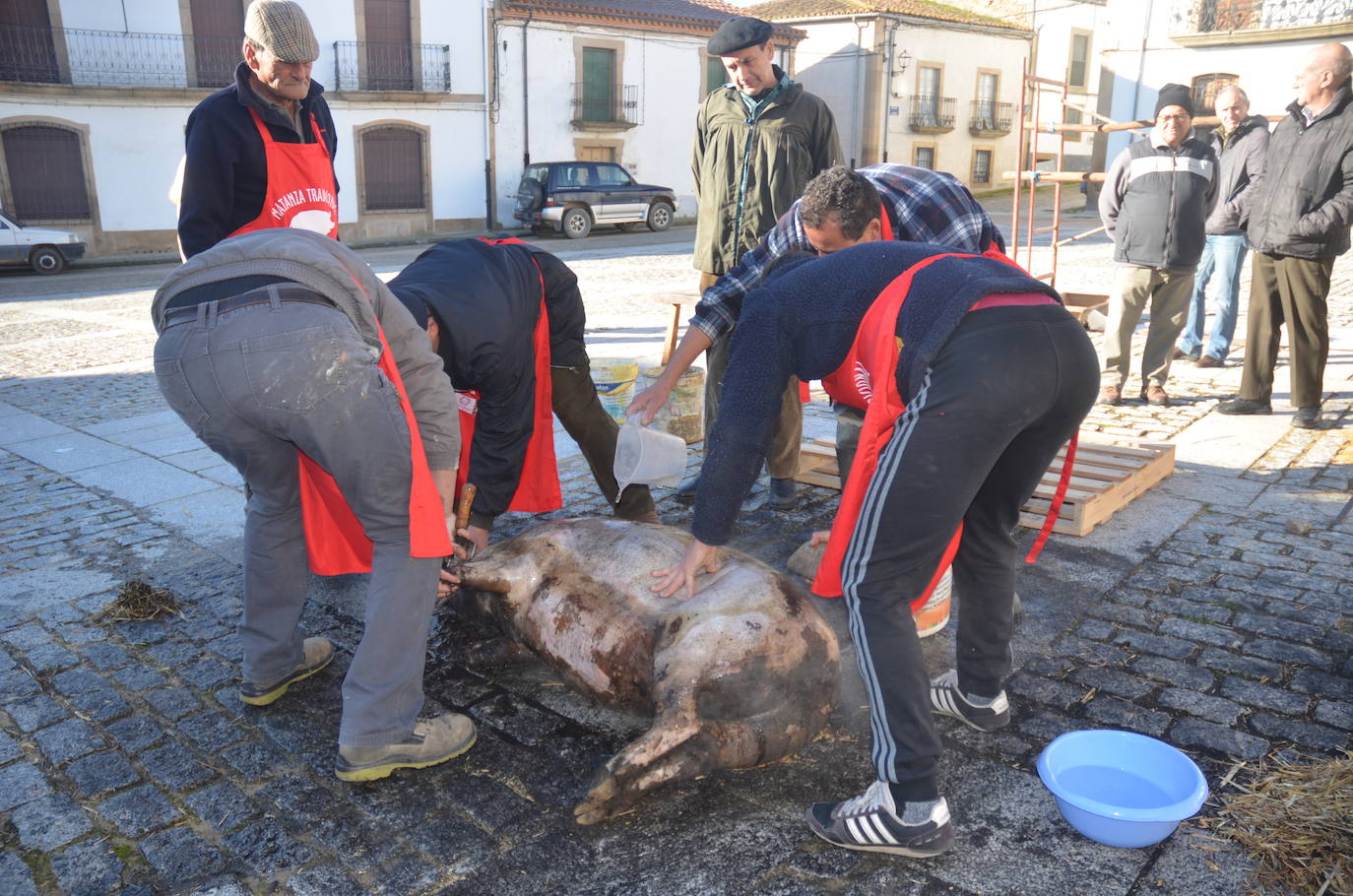 Lumbrales celebra una popular Fiesta de la Matanza Tradicional