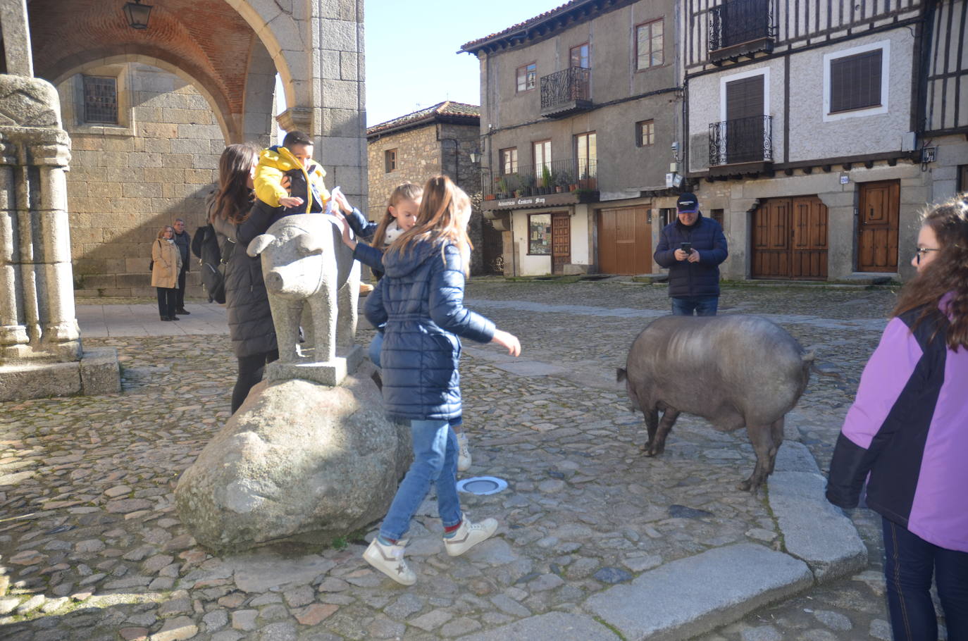 El marrano de San Antón se despide en La Alberca