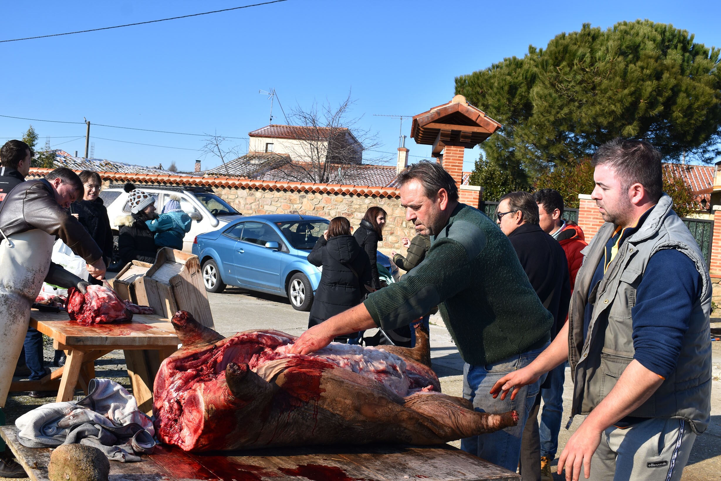 Día de convivencia en torno al sacrificio del cerdo en Martinamor