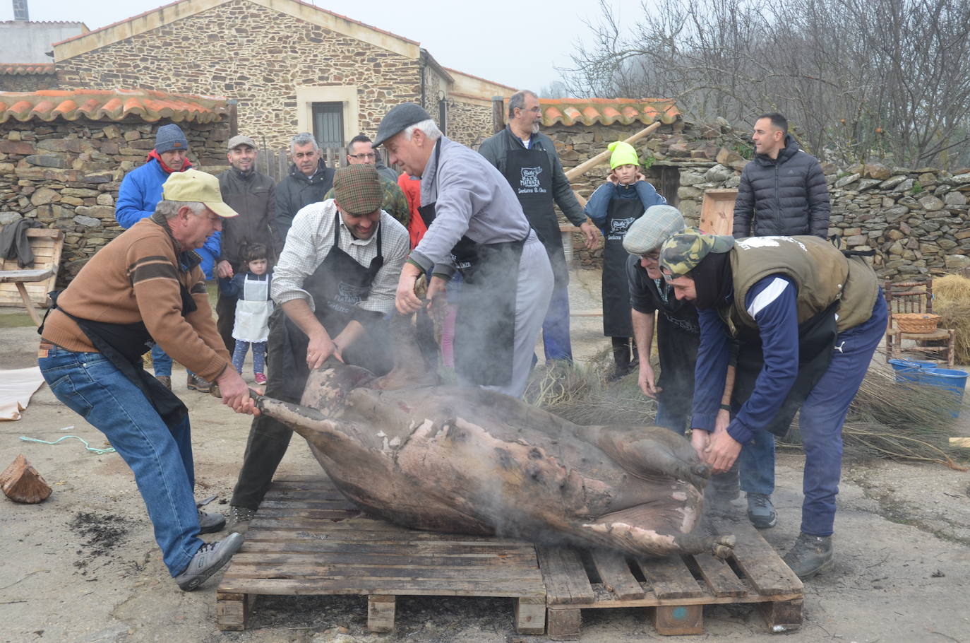 Cita ineludible con la Fiesta de la Matanza Tradicional en Saelices el Chico