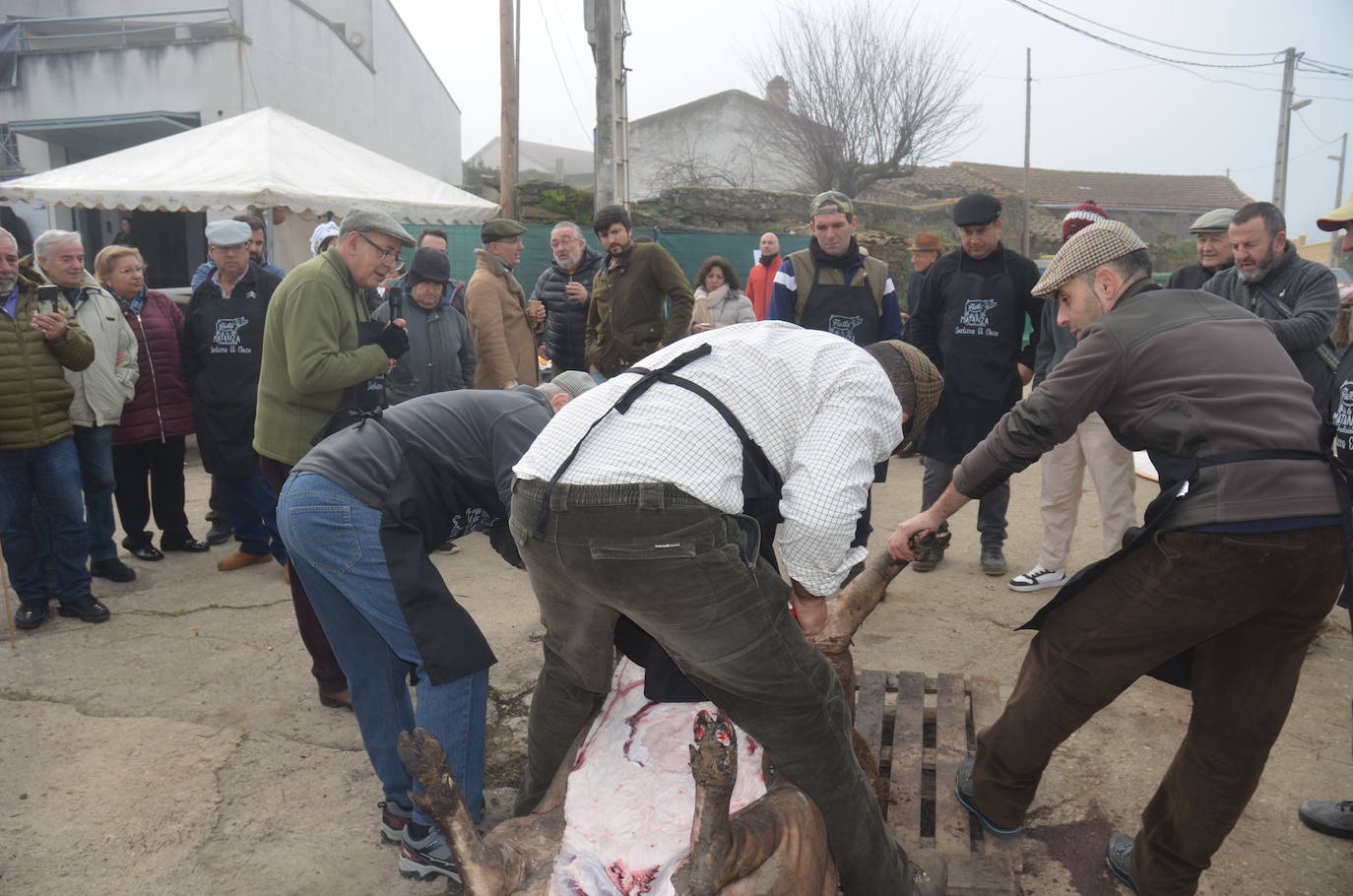 Cita ineludible con la Fiesta de la Matanza Tradicional en Saelices el Chico