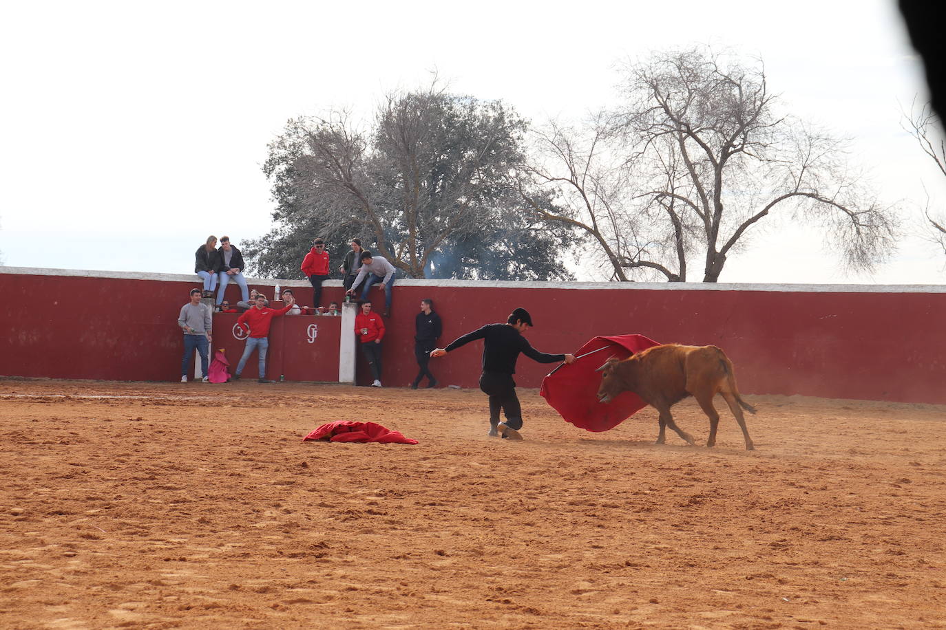 Valero disfruta de la víspera de San Valerio en una animada jornada de sabor campero y taurino