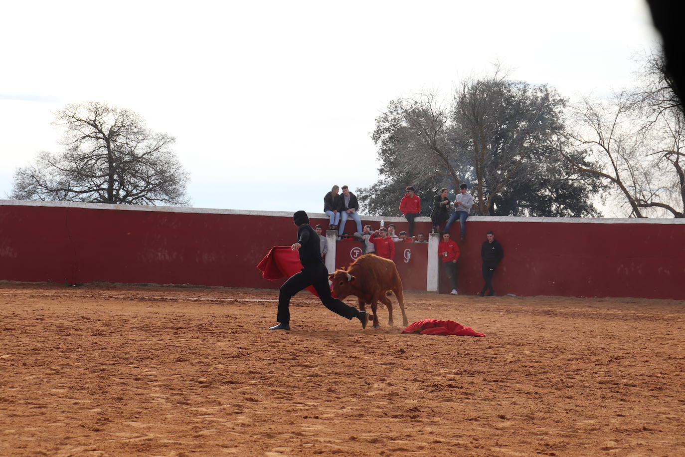 Valero disfruta de la víspera de San Valerio en una animada jornada de sabor campero y taurino