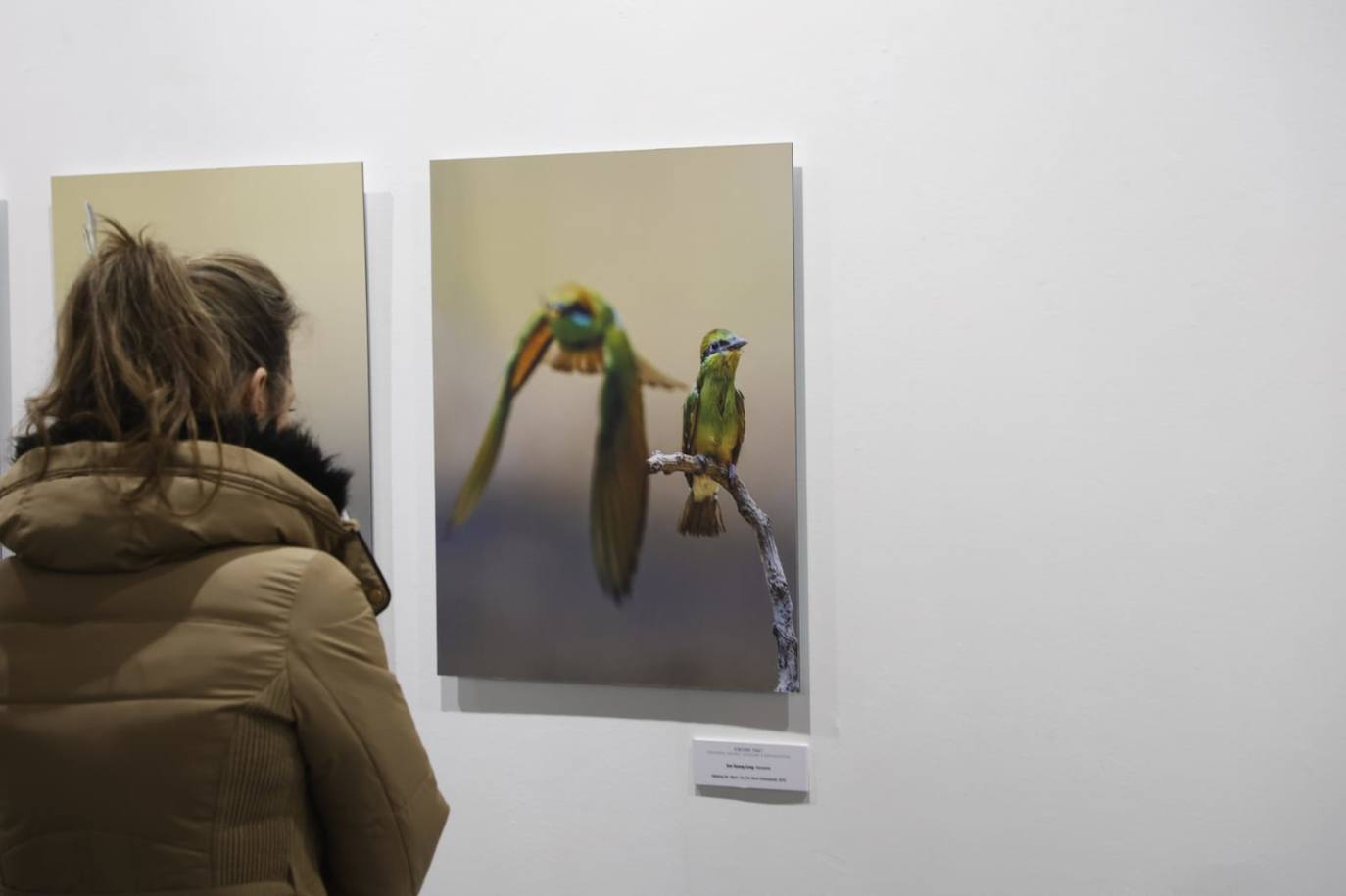 Duodécima edición de &#039;Transversalidades&#039; en el Museo de Salamanca: 600 concursantes en rincones de los 5 continentes