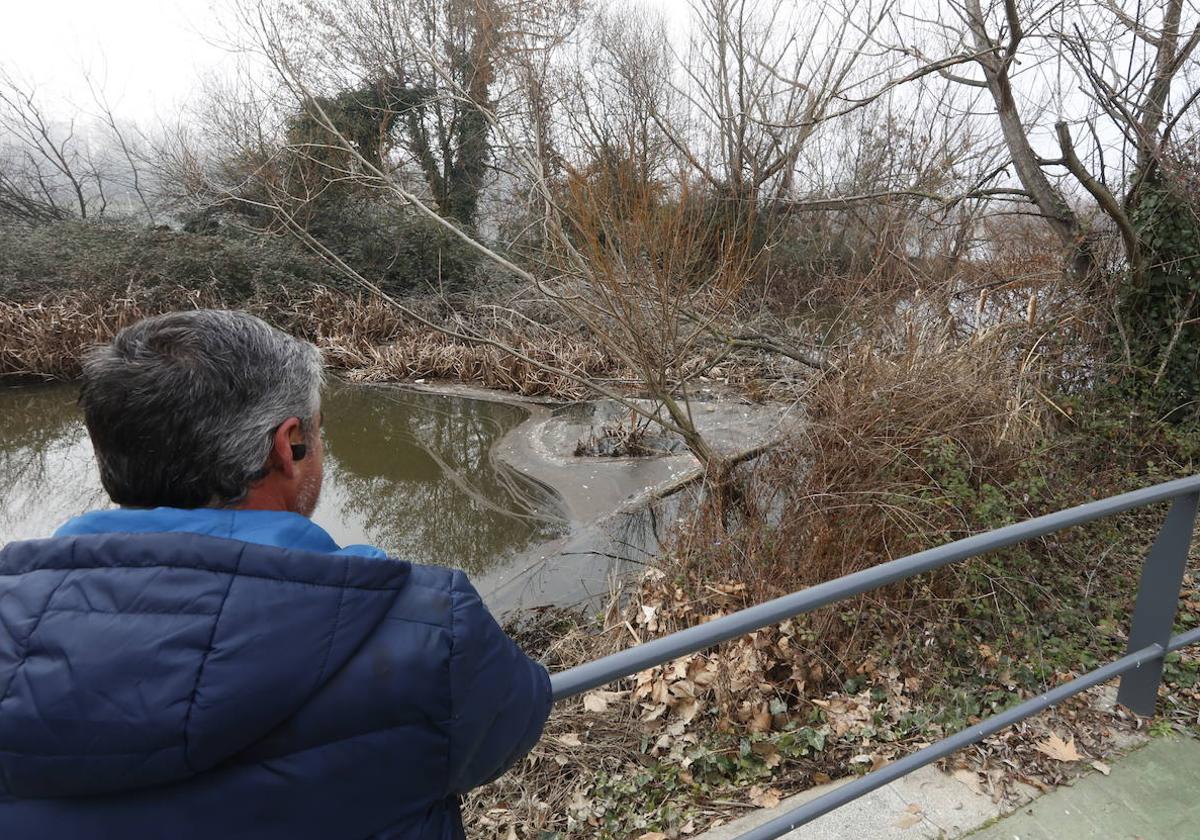 Un hombre contempla el agua estancada por la maleza junto al puente Enrique Estevan.