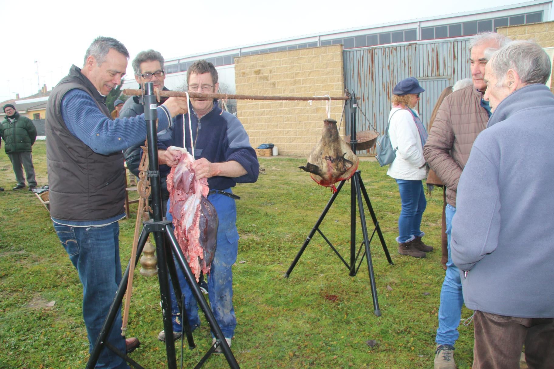 Calzada disfrutó de la jornada de matanza tradicional