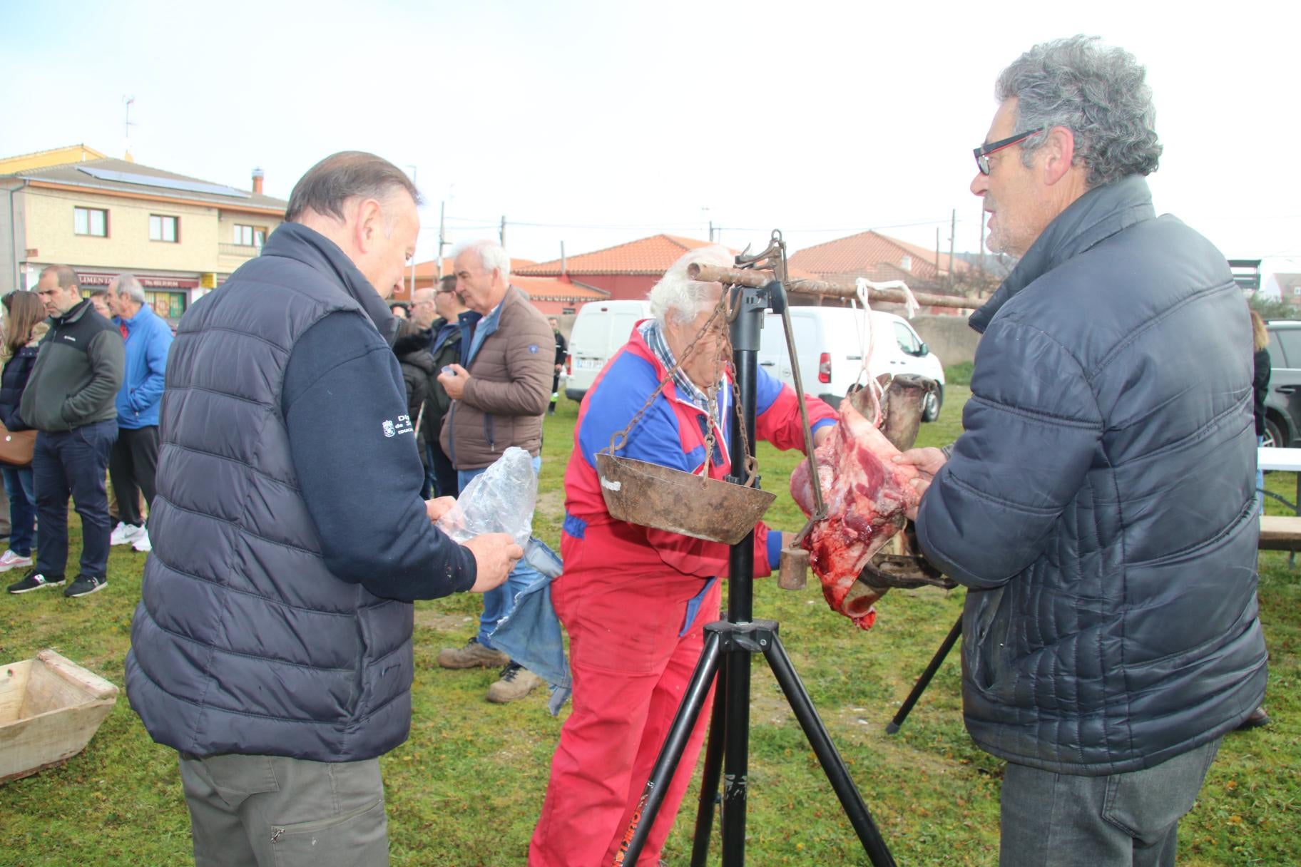 Calzada disfrutó de la jornada de matanza tradicional