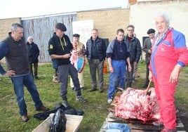 Los matanceros, durante el despiece en Calzada de Valdunciel