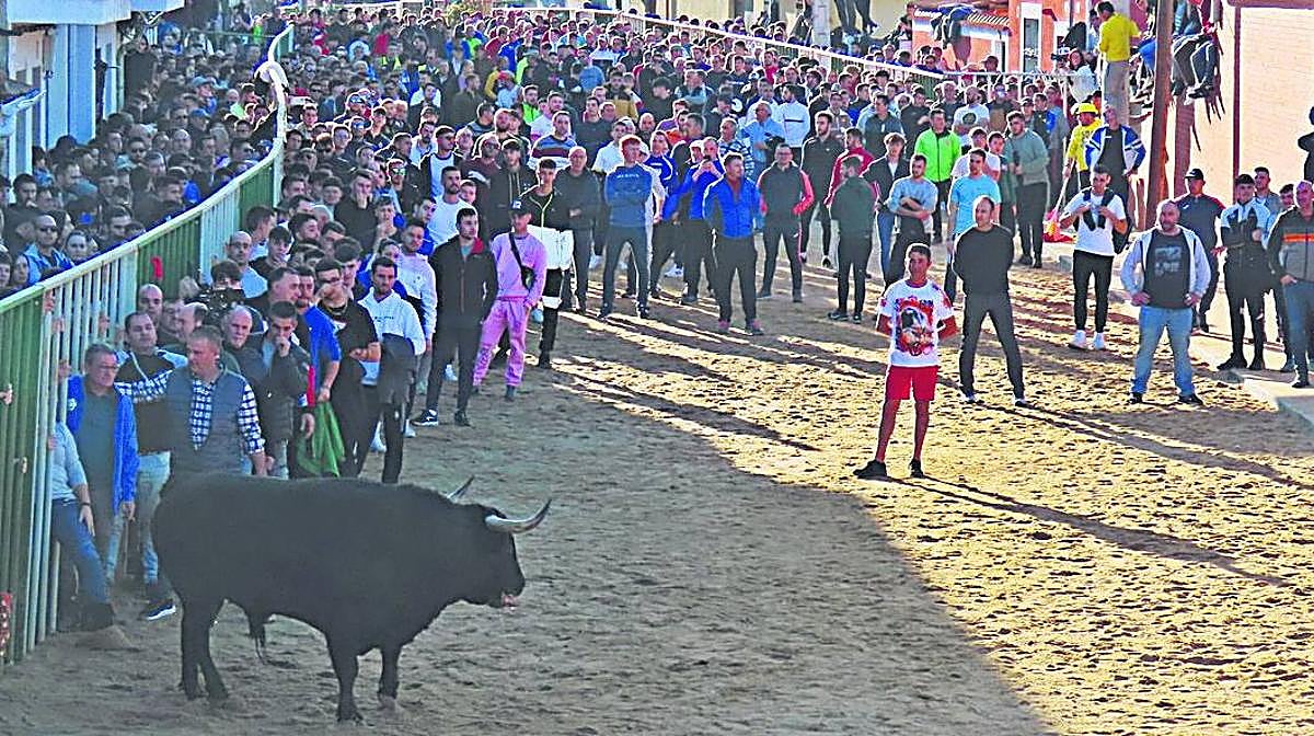 Un Cebada Gago pone la emoción en las fiestas de San Blas de Babilafuente
