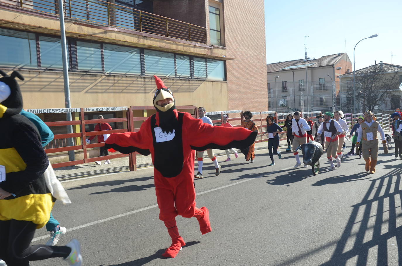 Más de 800 corredores calientan para las fiestas en el XII Cross del Carnaval