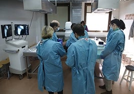 Formación en la Facultad de Medicina con un cadáver.