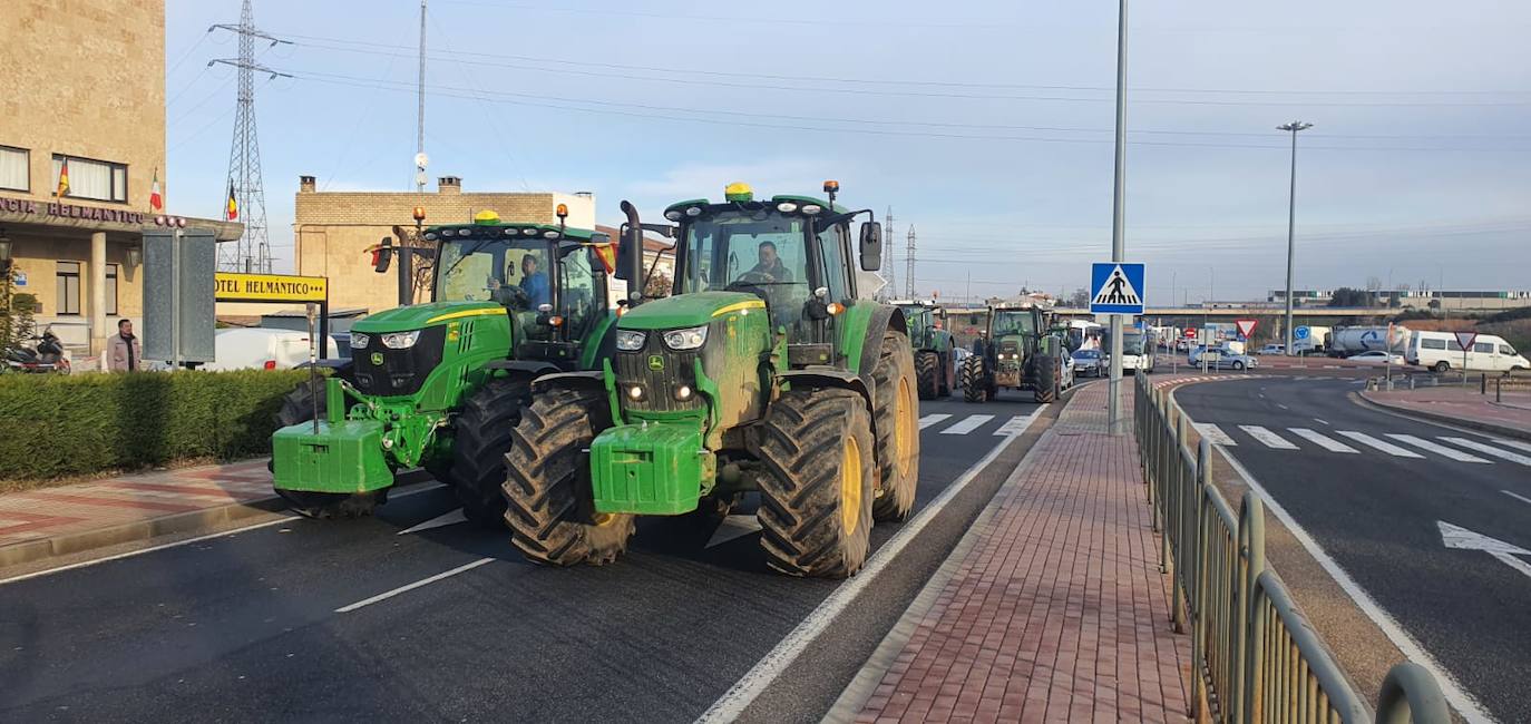 Las protestas de los agricultores y ganaderos por las calles de Salamanca, en imágenes