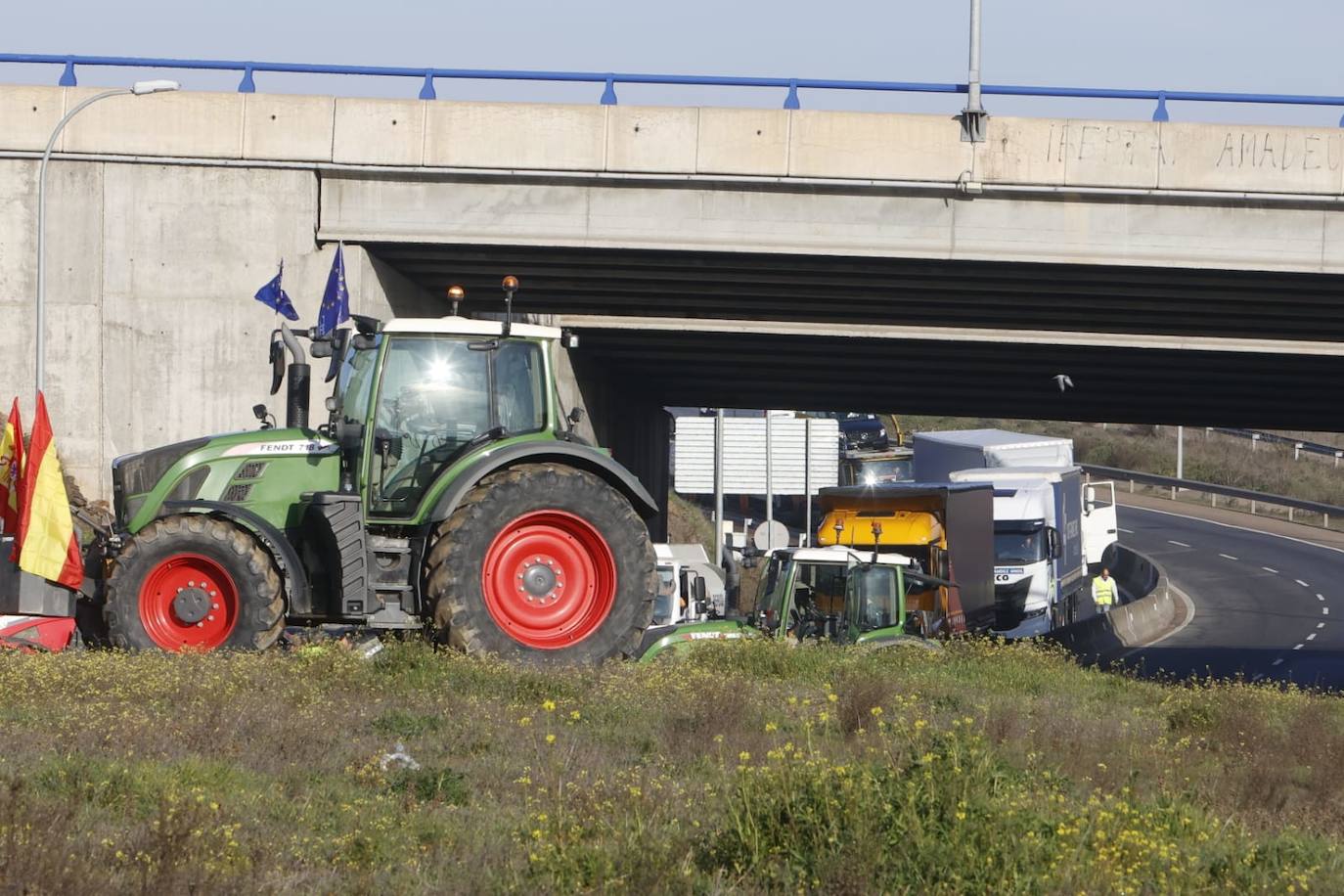 Las protestas de los agricultores y ganaderos por las calles de Salamanca, en imágenes