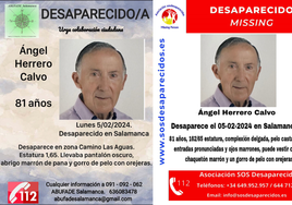 Dos carteles del desaparecido.