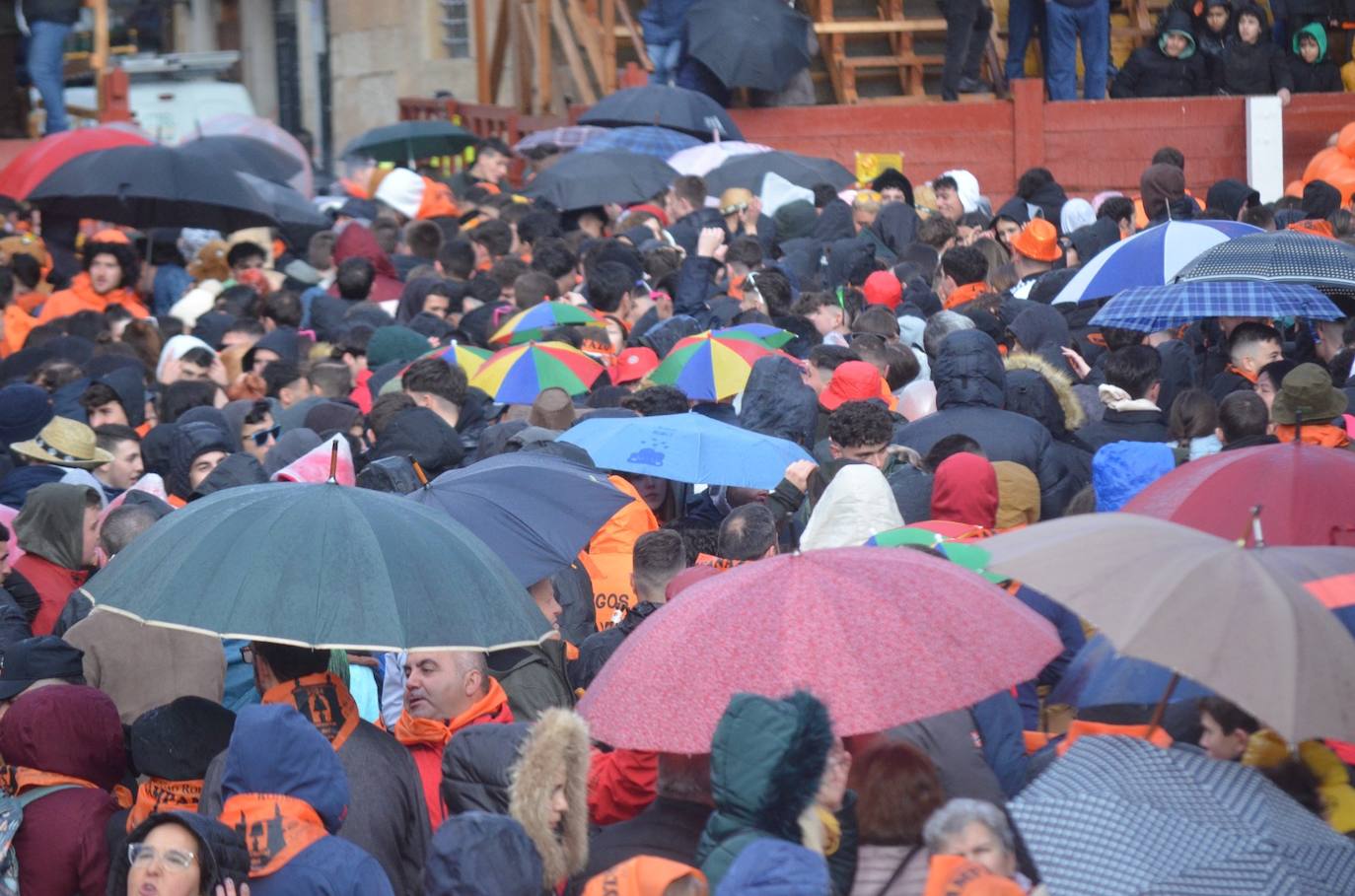 Miles de personas dan la bienvenida al Carnaval del Toro 2024