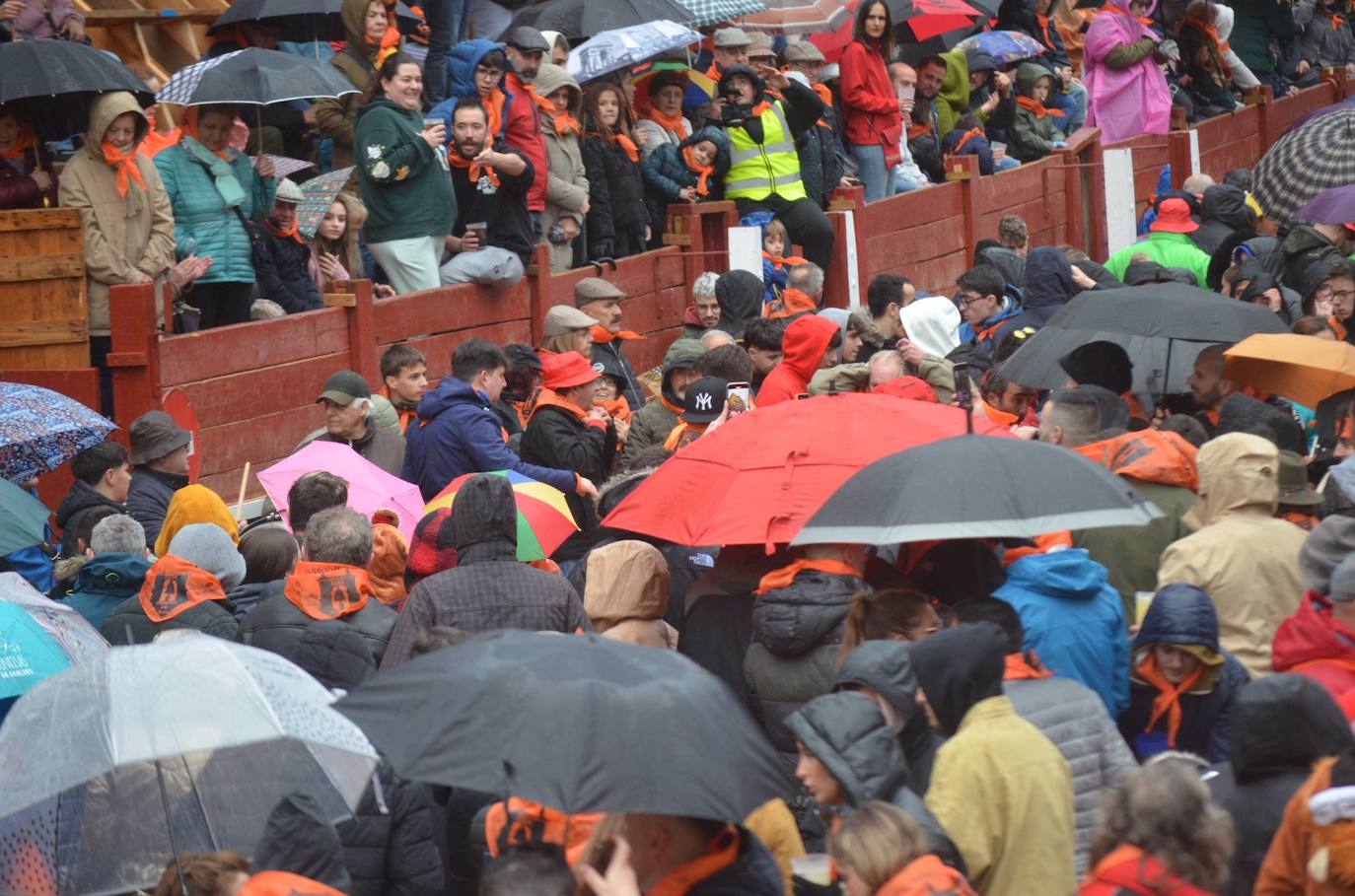 Miles de personas dan la bienvenida al Carnaval del Toro 2024