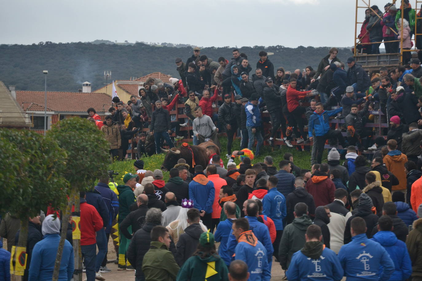 «Fragata» navega en un par de mozos en el Toro del Antruejo 2024