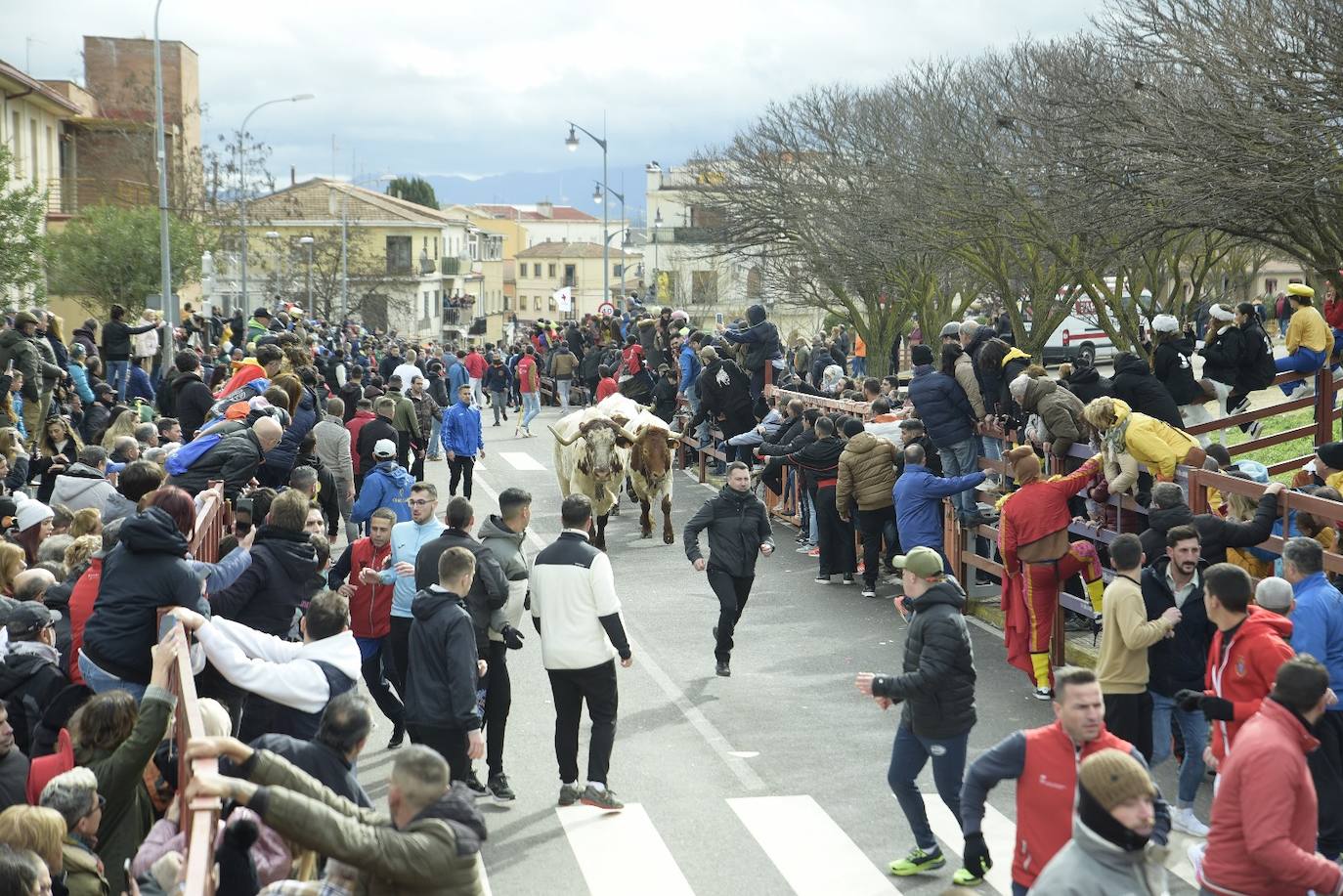 El primer y accidentado encierro en el Carnaval del Toro, en imágenes