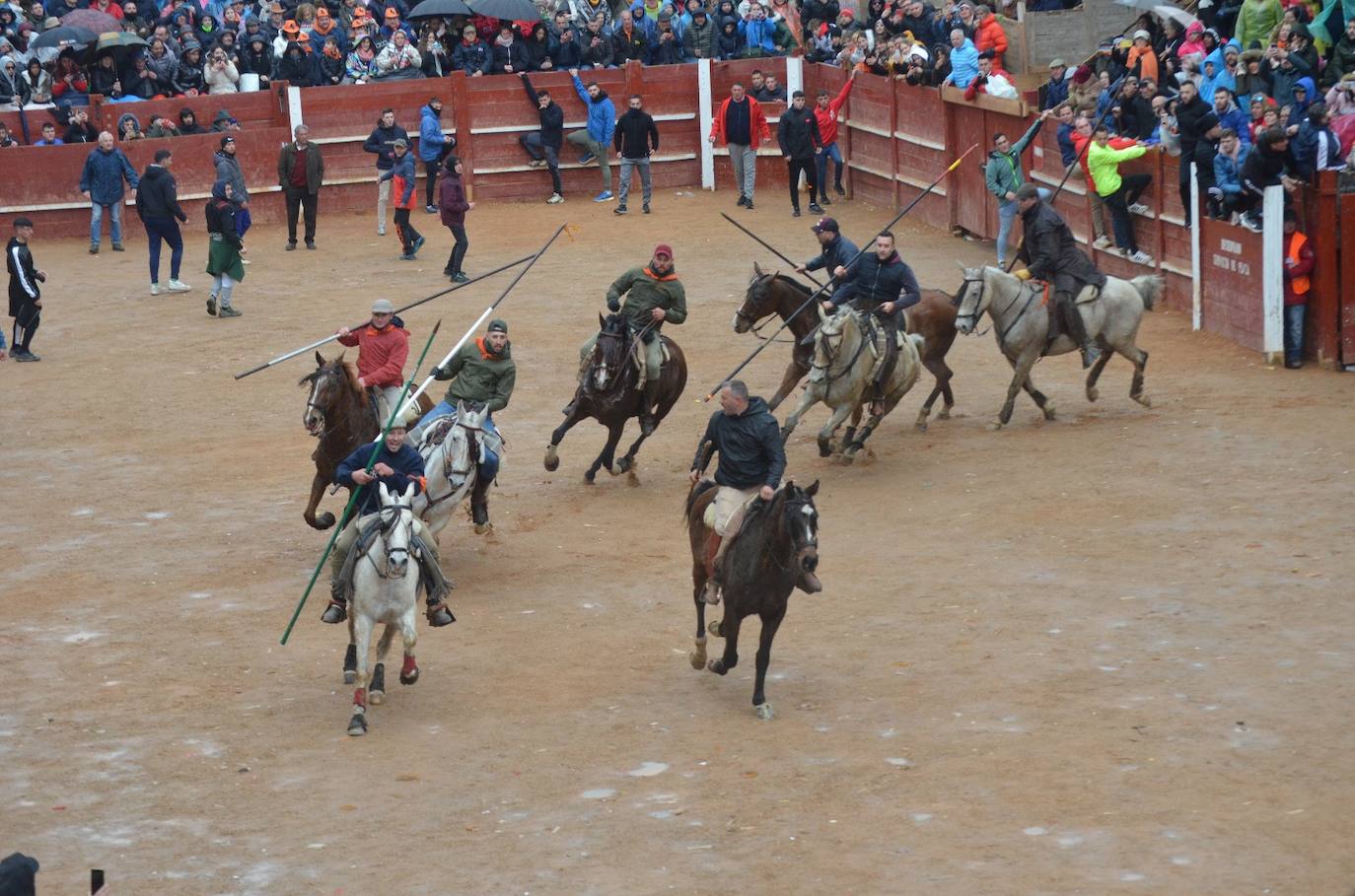 Rápido y vistoso encierro a caballo del Carnaval del Toro