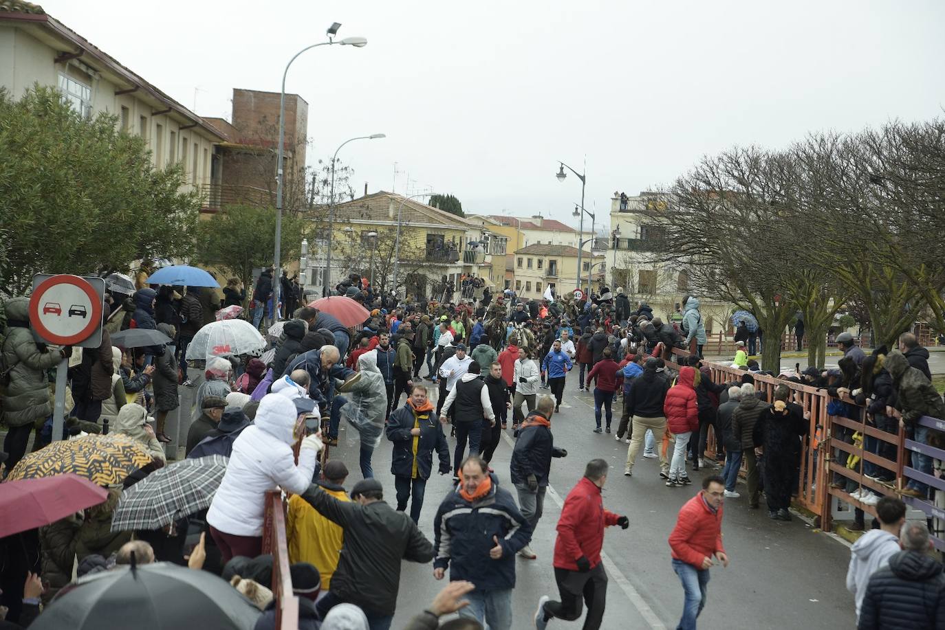 Rápido y vistoso encierro a caballo del Carnaval del Toro