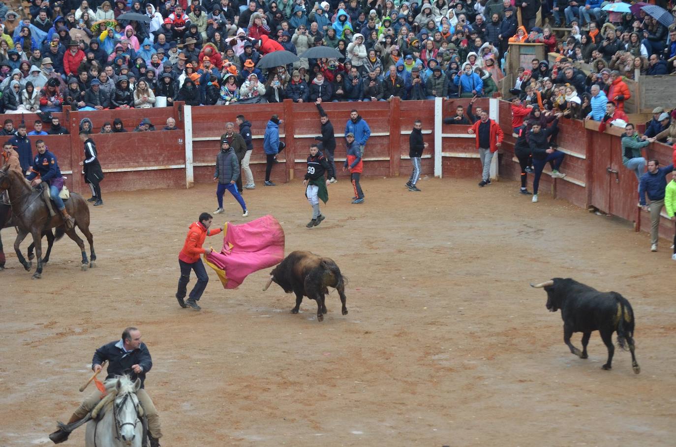 Rápido y vistoso encierro a caballo del Carnaval del Toro