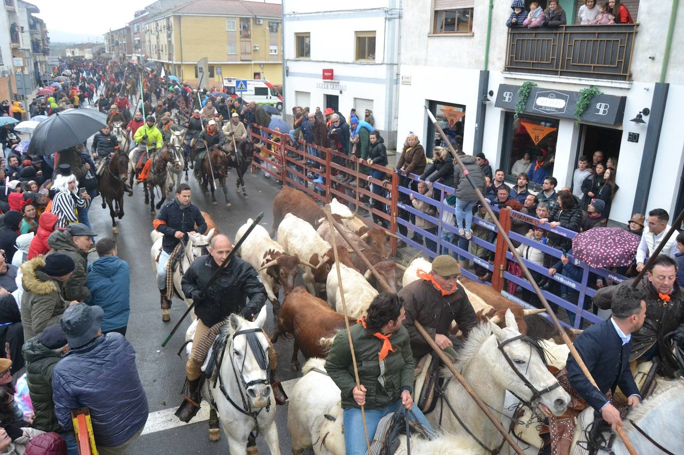 Rápido y vistoso encierro a caballo del Carnaval del Toro