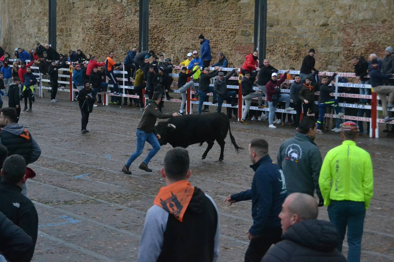 Buen juego del Toro del Aguardiente del Carnaval de Ciudad Rodrigo 2024